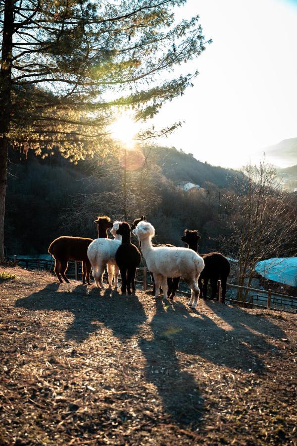 Agriturismo Scuderia Della Valle Valsecca Esterno foto
