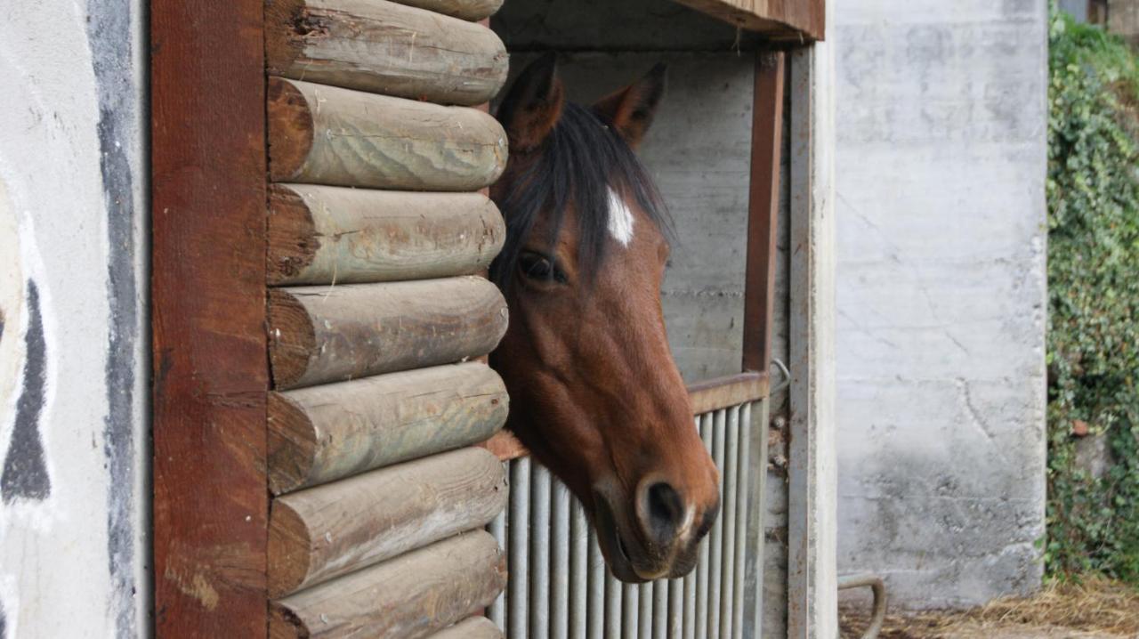 Agriturismo Scuderia Della Valle Valsecca Esterno foto