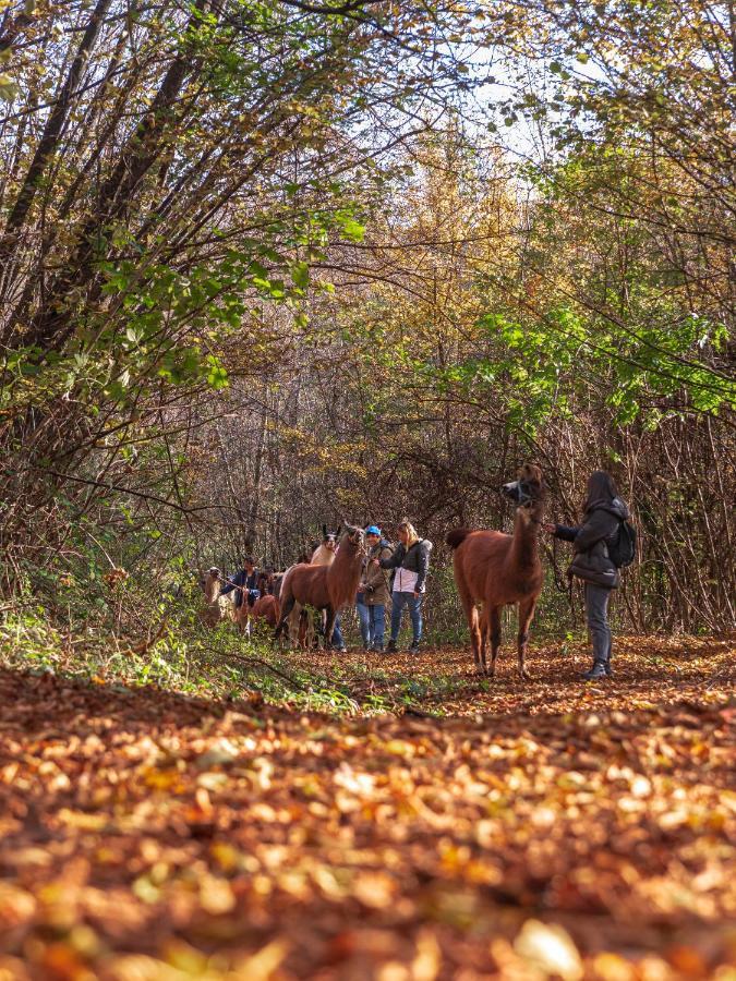Agriturismo Scuderia Della Valle Valsecca Esterno foto